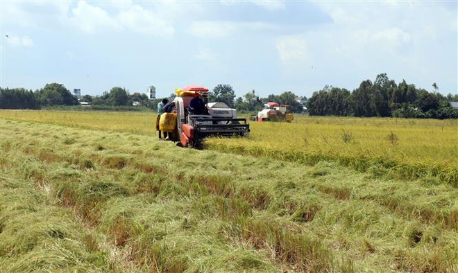 Chuyển mục đích sử dụng đất tại 2 tỉnh Vĩnh Long và Kiên Giang ảnh 1