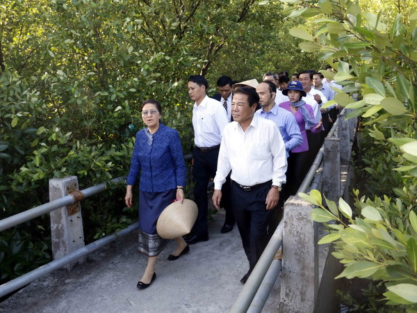 Chủ tịch Quốc hội Lào kết thúc tốt đẹp chuyến thăm Việt Nam ảnh 1