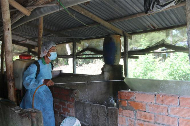 Khánh Hòa: Quyết liệt xử lý, khống chế dịch tả lợn châu Phi ảnh 1