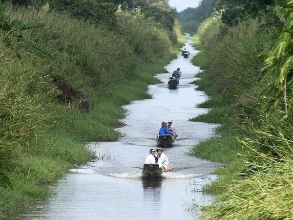 Du khách tham quan khu vườn quốc gia U Minh Hạ. (Ảnh: Thế Anh/TTXVN) Vùng cực Nam Tổ quốc: Không thể không quay lại hơn một lần ảnh 2