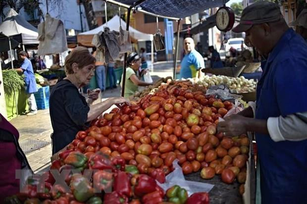 LHQ thừa nhận tác động tiêu cực của trừng phạt kinh tế với Venezuela ảnh 1