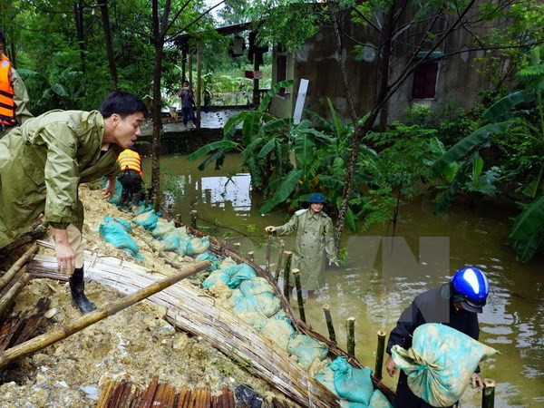 Bến Tre: Thêm 300m đê bao cồn Phú Đa bị vỡ, thiệt hại 3 tỷ đồng ảnh 1