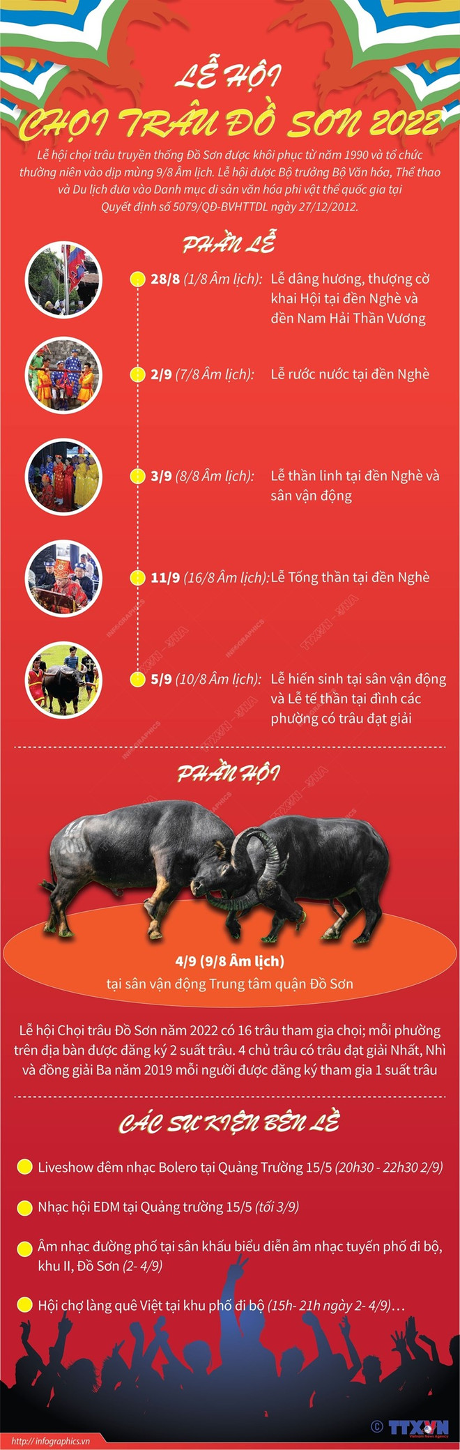 Về Hải Phòng dự lễ hội chọi trâu truyền thống Đồ Sơn ảnh 2