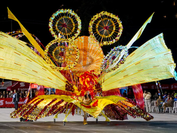 [Photo] Sắc màu lễ hội hóa trang Carnival Toronto ở Canada ảnh 4
