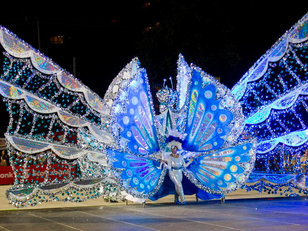 [Photo] Sắc màu lễ hội hóa trang Carnival Toronto ở Canada ảnh 2