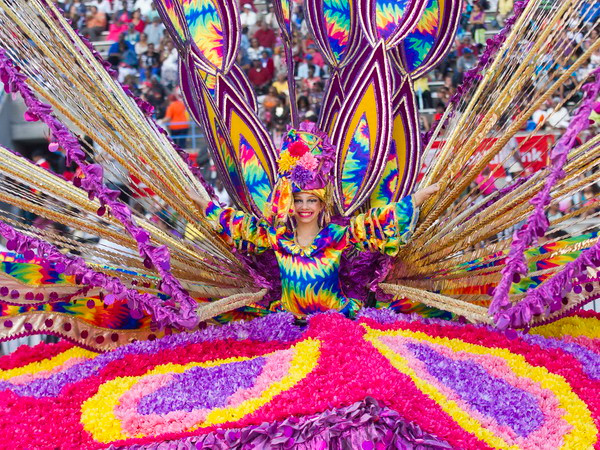 [Photo] Sắc màu lễ hội hóa trang Carnival Toronto ở Canada ảnh 3