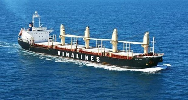 Đội tàu của Vinalines có tuổi đời già, manh mún về chủng loại và cạnh tranh gay gắt từ các đội tàu tư nhân. (Nguồn ảnh: Vinalines) ''Thị trường vận tải biển năm 2020 khó hồi phục mạnh mẽ'' ảnh 1