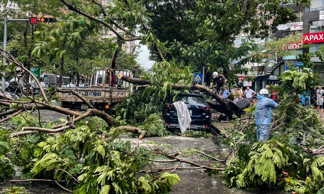 Hà Nội: Cây gãy đổ trúng ôtô trong cơn mưa dông chiều 20/9 ảnh 1