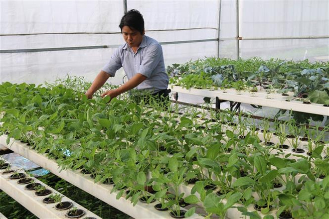 Ấn Độ-Việt Nam thúc đẩy thương mại 2 chiều lên 15 tỷ USD vào năm 2020 ảnh 1