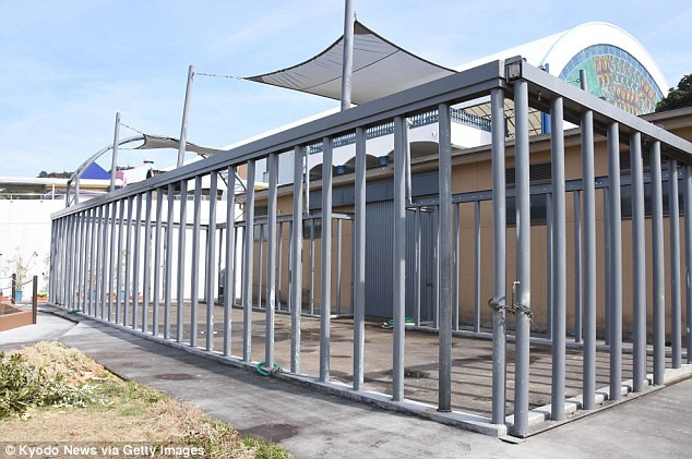 Con voi hung dữ vô tình giết chết huấn luyện viên trong vườn thú ảnh 1