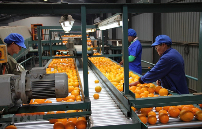 Nhìn lại thế giới 2019: Các xu hướng chiến lược ở châu Phi ảnh 1