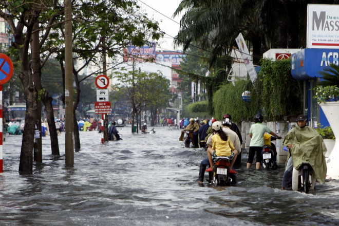 Chống ngập cho TP. Hồ Chí Minh: Quản lý chặt quá trình đô thị hóa ảnh 2