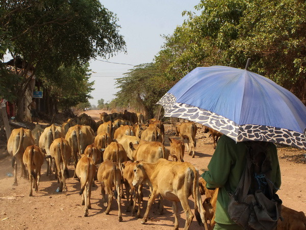 Nắng nóng duy trì tại Trung Trung Bộ, Nam Bộ, có nơi lên đến 39 độ C ảnh 1