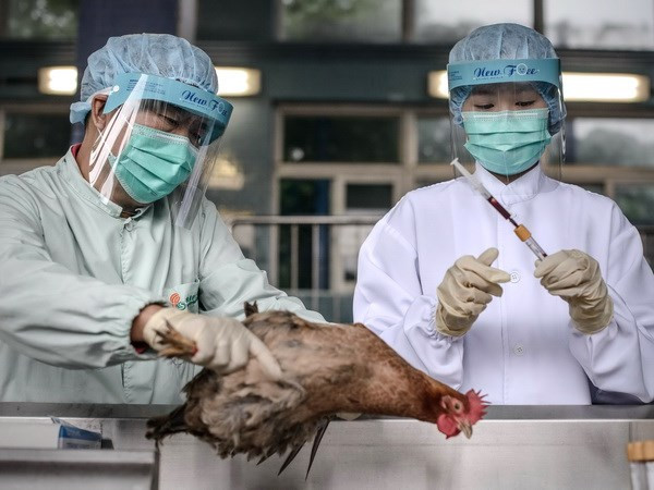 Trung Quốc phát hiện thêm ca nhiễm virus cúm H7N9 ảnh 1