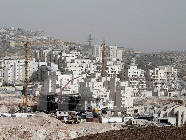 Palestine kêu gọi ngăn chặn việc mở rộng khu định cư của Israel ảnh 1