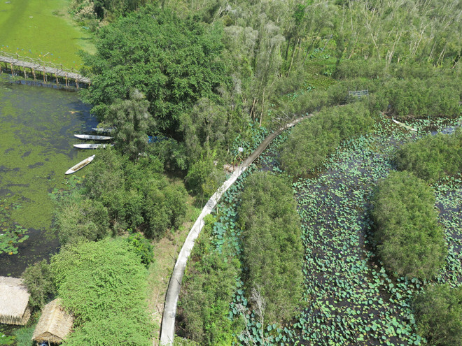 Mở cửa cho du lịch phải linh hoạt, phối hợp nhịp nhàng công-tư ảnh 2