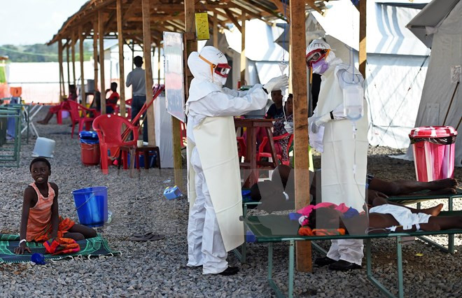 Sierra Leone không ghi nhận ca nhiễm Ebola nào trong 4 tuần ảnh 1