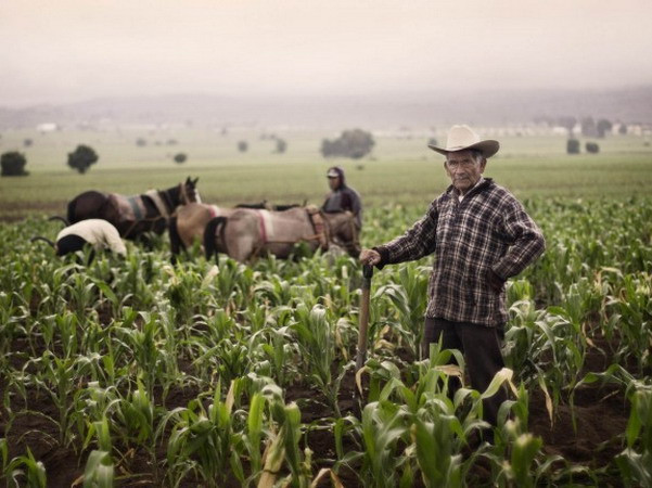 Nông dân Mexico tuần hành yêu cầu chính phủ tăng ngân sách ảnh 1