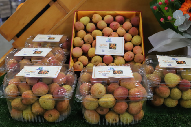 Vải tươi Việt được đấu giá lên tới 53 triệu đồng một kg ở Australia ảnh 2