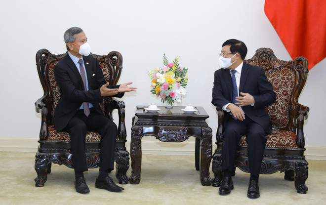 Việt Nam-Singapore hợp tác nâng cao năng lực tại tiểu vùng Mekong ảnh 2