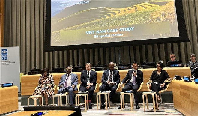 Việt Nam chia sẻ bài học thành công vượt qua khủng hoảng với UNDP ảnh 1