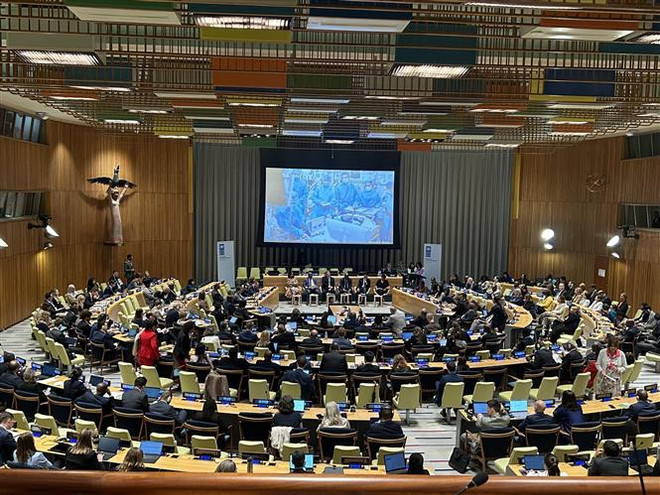 Việt Nam chia sẻ bài học thành công vượt qua khủng hoảng với UNDP ảnh 3