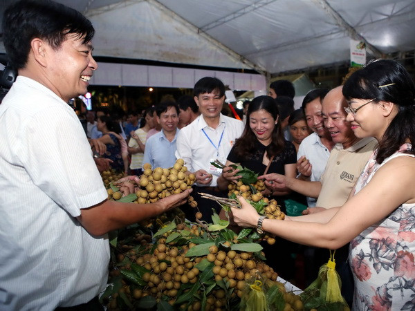 Hưng Yên lần đầu tiên tổ chức lễ hội tôn vinh nhãn lồng ảnh 1