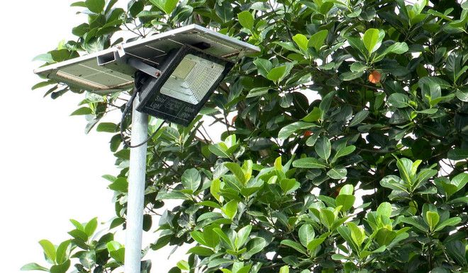 vnp_ thap sang duong que Thai Binh3_resize.jpg