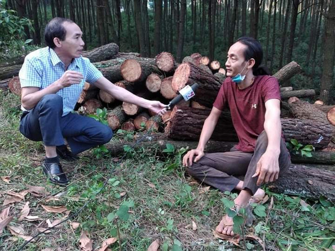 Người dân bức xúc trước việc "chặt hạ" rừng thông tại chùa Chân Tiên ảnh 4