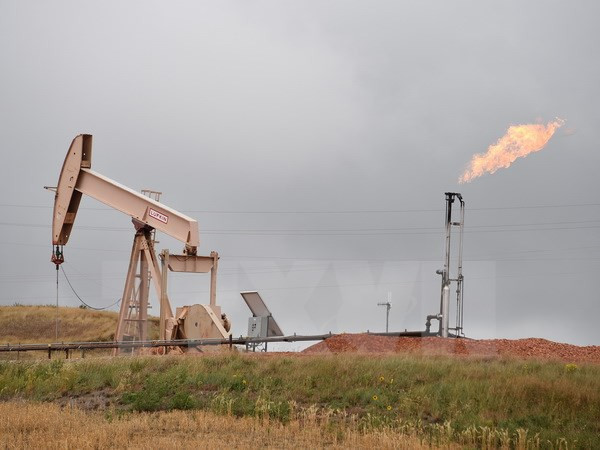 Ảnh minh họa. (Nguồn: AFP/TTXVN) Venezuela và Tổ chức OPEC nỗ lực bình ổn giá dầu thế giới ảnh 1