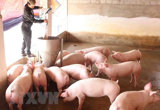 Hiệp định EVFTA: Hướng đi nào cho ngành chăn nuôi Việt Nam ảnh 1