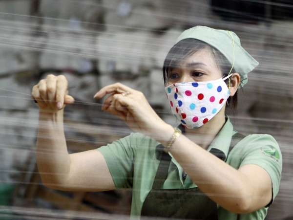 Phát động thi viết về vai trò của phụ nữ trong kinh tế hộ gia đình ảnh 1