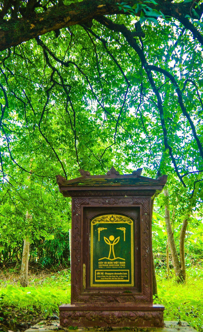 Khám phá hương xưa làng cổ Phước Tích ở vùng đất cố đô Huế ảnh 7