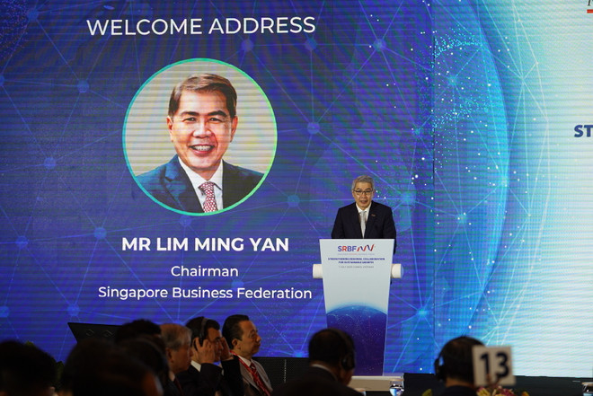 Việt Nam và Singapore ký 12 bản ghi nhớ tại Diễn đàn SRBF lần thứ 7 ảnh 1