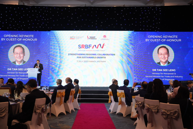 Việt Nam và Singapore ký 12 bản ghi nhớ tại Diễn đàn SRBF lần thứ 7 ảnh 2