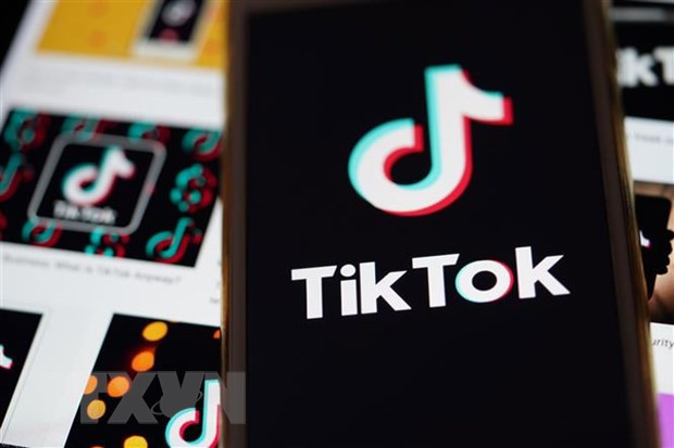Các nghị sỹ Mỹ đưa ra dự luật bảo vệ thông tin người dùng TikTok ảnh 1