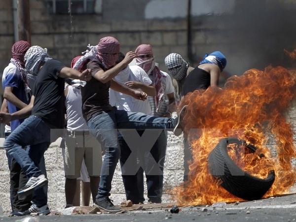 Indonesia đăng cai hội nghị quốc tế về xung đột Palestine-Israel ảnh 1