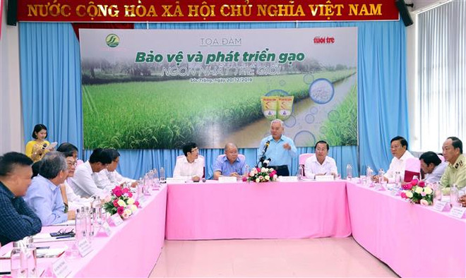 Bảo vệ và phát triển giống lúa, gạo ngon nhất thế giới ST 25 ảnh 1