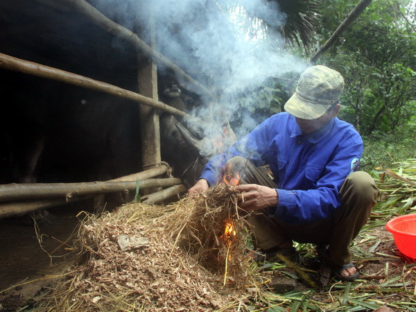 Quảng Ninh yêu cầu dừng các cuộc họp chưa cấp thiết để chống rét ảnh 1