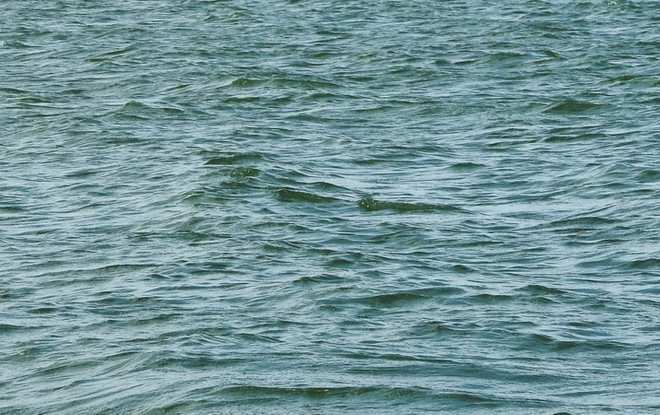 Khẩn trương tìm kiếm bé trai 11 tuổi mất tích dưới sông Sài Gòn ảnh 1