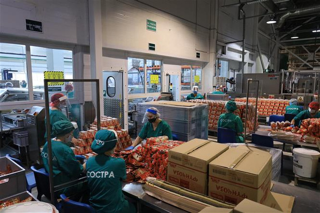 Doanh nghiệp Việt tại Liên bang Nga vượt qua cơn bão COVID-19 ảnh 1