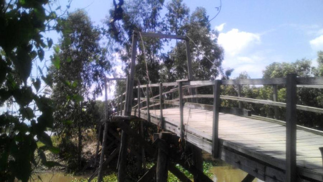 Tân Hiệp Phát tuyên bố mỗi tháng sẽ xây một cây cầu treo dân sinh ảnh 2