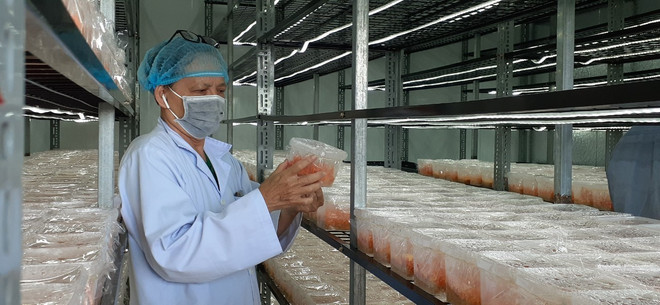 Bà Rịa-Vũng Tàu: Xây dựng, phát triển sản phẩm OCOP vùng miền ảnh 1