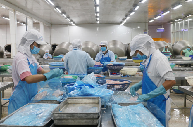 Xuất khẩu nông, lâm, thủy sản sẽ vượt xa mục tiêu 44 tỷ USD ảnh 1