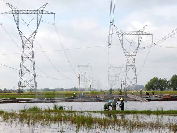 Gỡ khó về mặt bằng tuyến đường dây 500kV Thường Tín-Tây Hà Nội ảnh 1