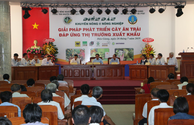 Giải pháp phát triển sản phẩm trái cây đáp ứng thị trường xuất khẩu ảnh 1