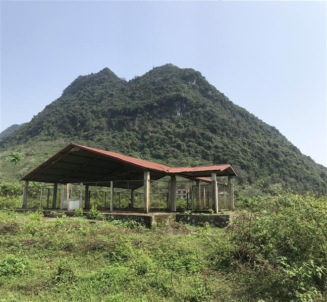 Di tích lịch sử-khảo cổ học Hoàng thành Yên Bái ngập trong cỏ dại ảnh 2