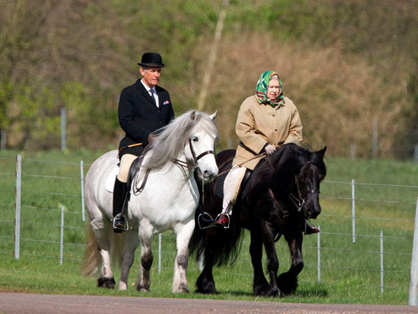 Nữ hoàng Anh Elizabeth II vẫn cưỡi ngựa ở tuổi 88 ảnh 1