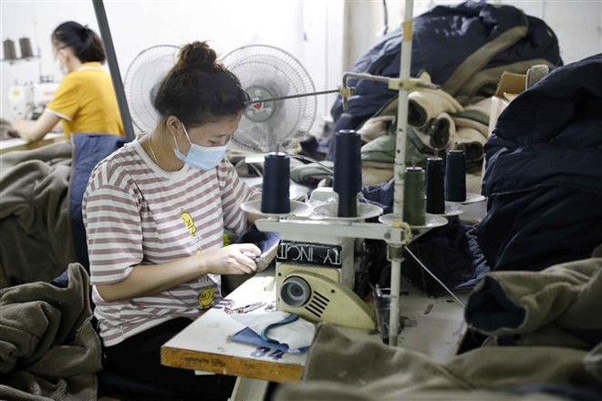 Thủ tướng chỉ đạo xử lý khó khăn để thúc đẩy giao thương Việt-Hàn ảnh 1