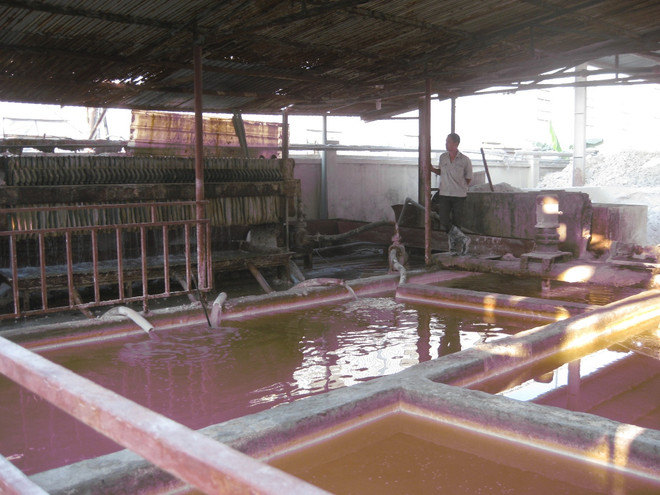 “Doanh nghiệp xả thải gây ô nhiễm, phải xử phạt người đứng đầu” ảnh 1